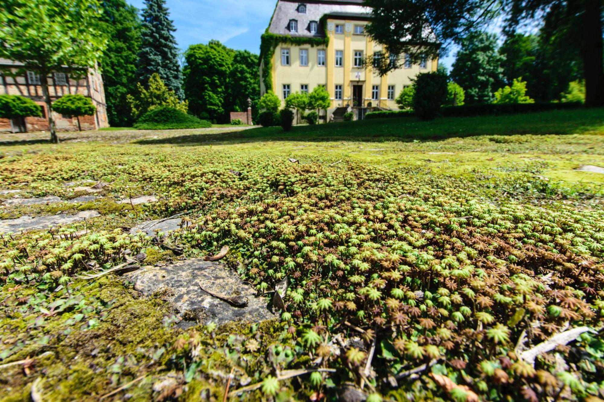 Rittergut/Gutshaus Grossgestewitz Naumburg  Dış mekan fotoğraf